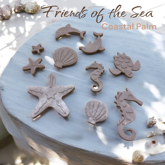 Friends of the Sea- MINI Soap Bar Set- Sand