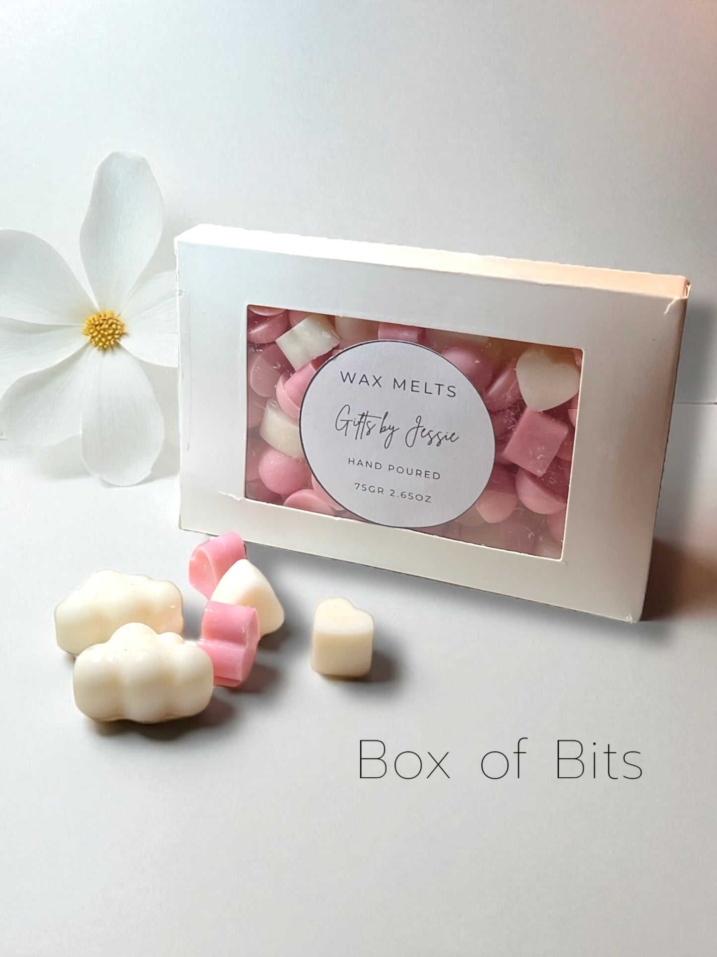 Wax melts - Box of Bits - Coastal Palm