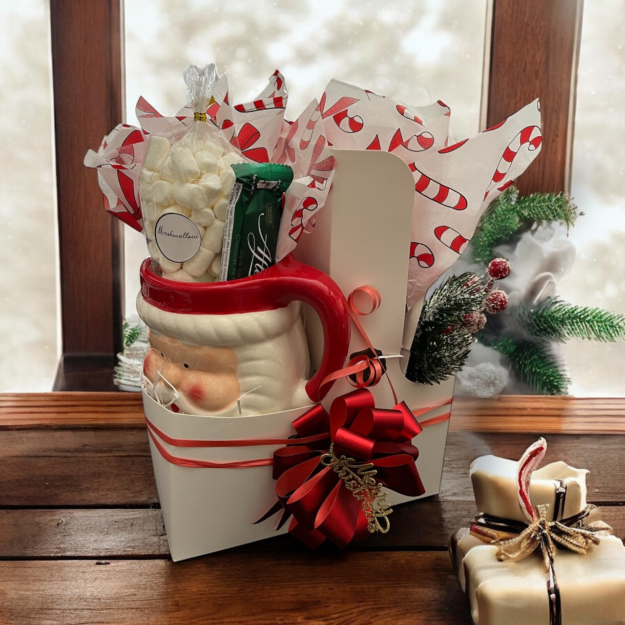 Christmas Gift - Hot Cocoa with Santa