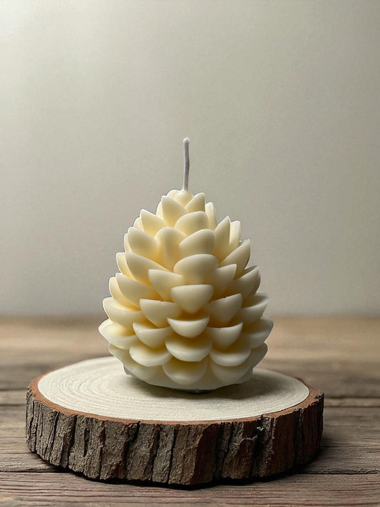 Handmade candle made in Canada windsor Ontario Christmas gift unique gifts in Ontario 