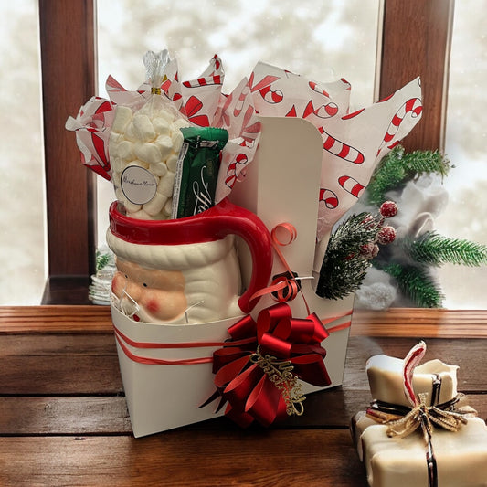 Christmas Gift - Hot Cocoa with Santa